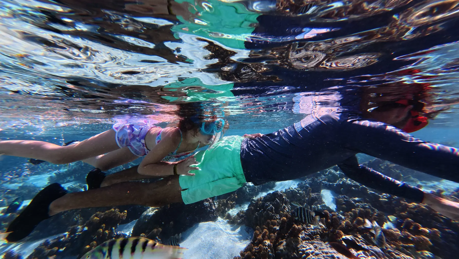 Snorkeling